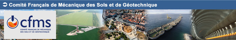 COMITÉ FRANÇAIS DE MÉCANIQUE DES SOLS